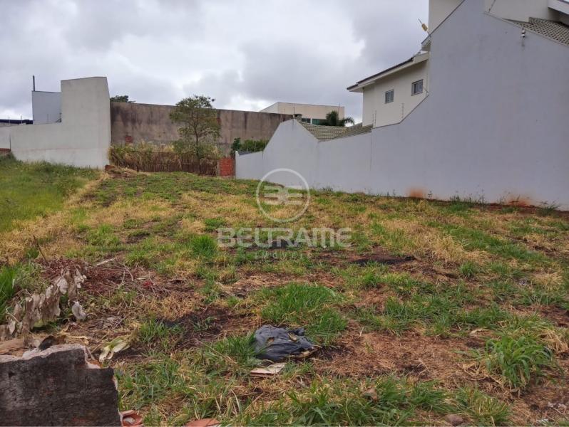 Terreno Residencial - Vila Santa Izabel - R$600.000,00