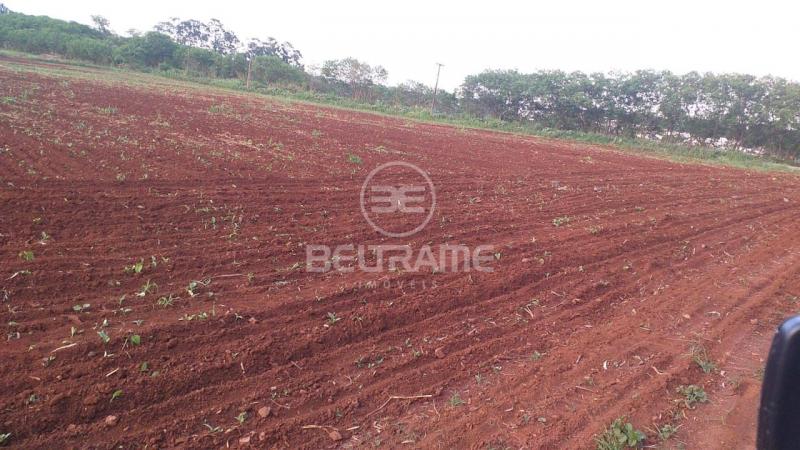 Chácara - Estr. Pinguim - Gleba Pinguim - R$2.364.960,00