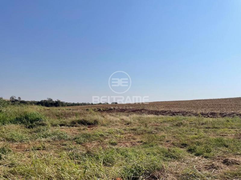 Sitio - Estrada Morangueira - Maringá - PR R$6.457.000,00 