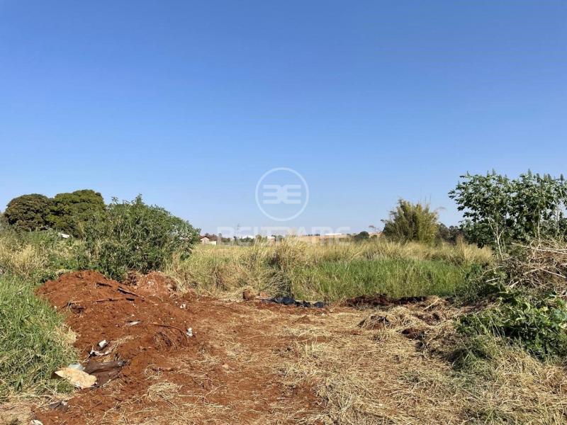 Sitio - Estrada Morangueira - Maringá - PR R$6.457.000,00 