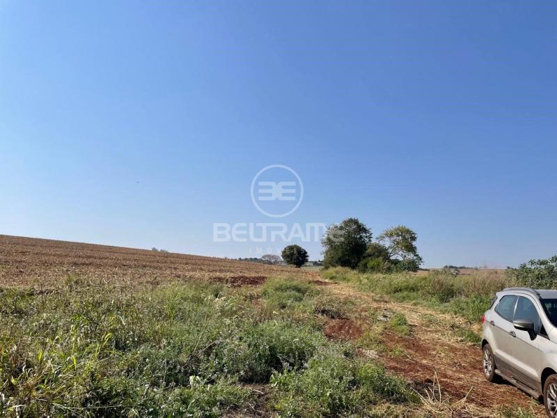 Sitio - Estrada Morangueira - Maringá - PR R$6.457.000,00 