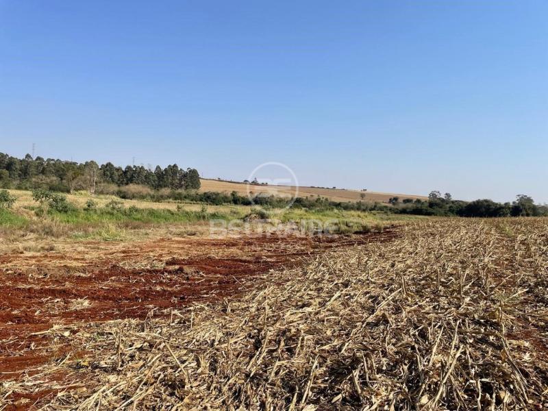 Sitio - Estrada Morangueira - Maringá - PR R$6.457.000,00 
