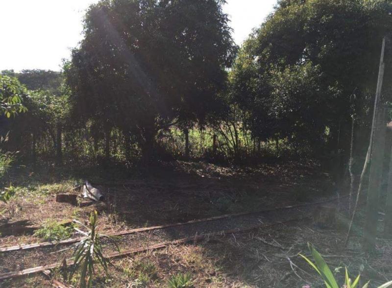 Terreno Residencial - Vila Morangueira R$ 1.200.000,00