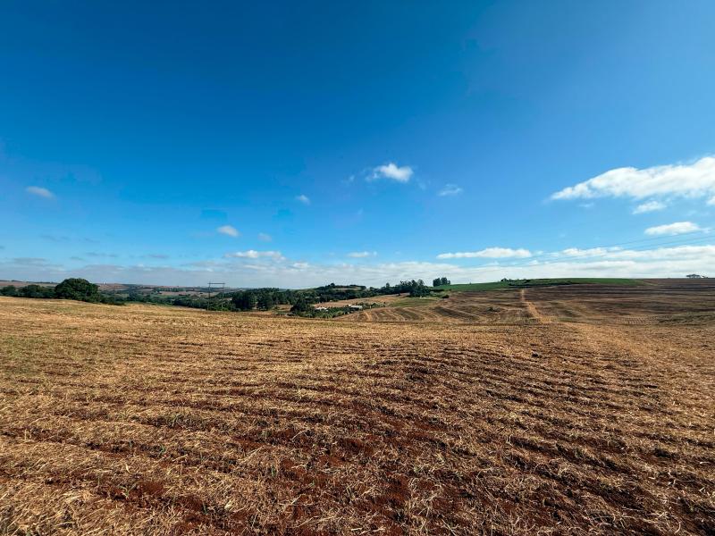 Chacara Rural  em Marialva  - Paraná  R$ 2.000.000,00