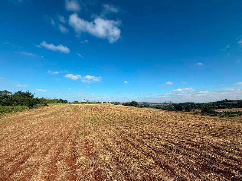 Chacara Rural  em Marialva  - Paraná  R$ 2.000.000,00