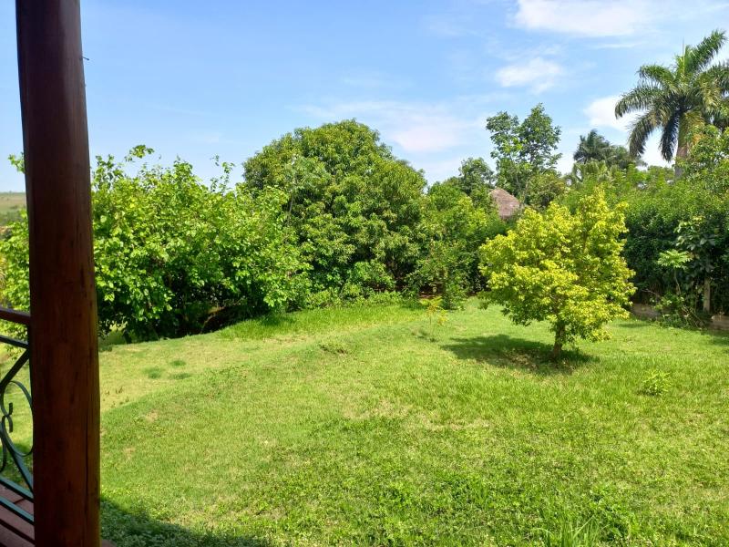 Casa Mobiliada Chácara Zauna Sarandi R$ 10.000,00