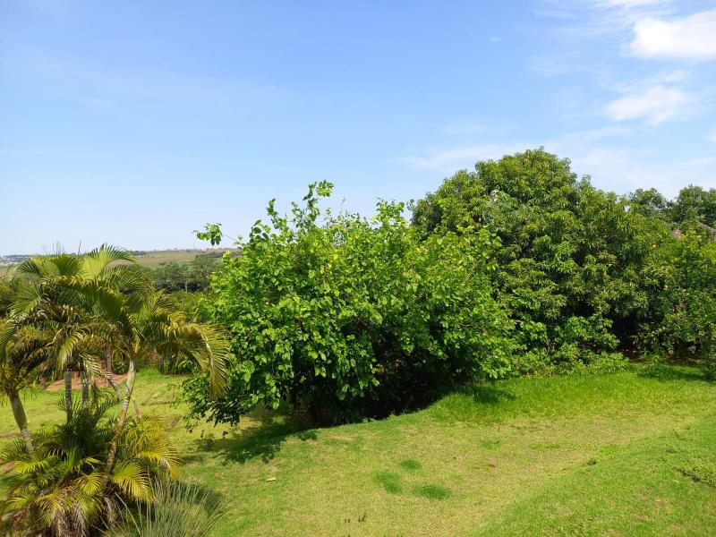 Casa Mobiliada Chácara Zauna Sarandi R$ 10.000,00