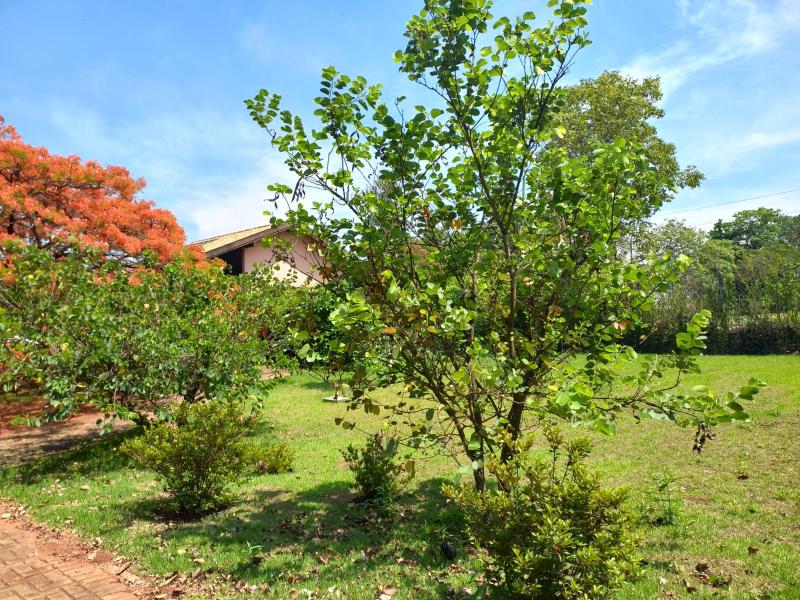 Casa Mobiliada Chácara Zauna Sarandi R$ 10.000,00