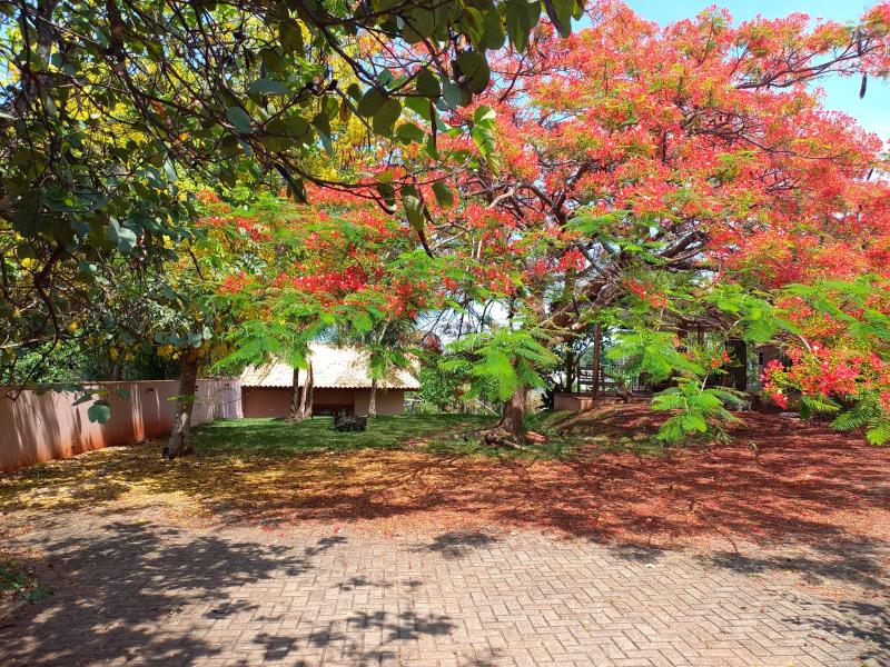 Casa Mobiliada Chácara Zauna Sarandi R$ 10.000,00